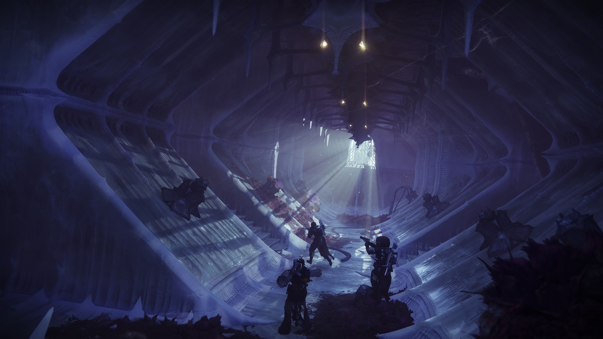 Destiny 2: La Reina Bruja